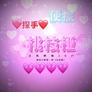 探手便擒桃枝桠（cover 毛家超）