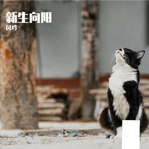 新生向阳-整曲