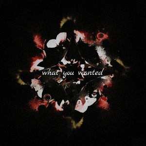 What You Wanted