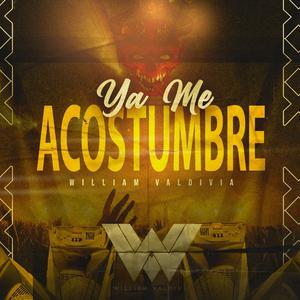 Ya Me Acostumbre (Remix)