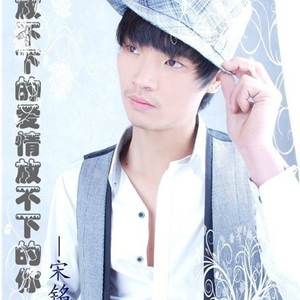 放不下的爱情放不下的你