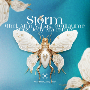 Storm (Arm Vahag, Guillaume Spitz, Jedi Ma "Storm in My Head" remix)