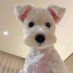 最顽固的过敏原