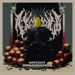 Wipeout Imagination