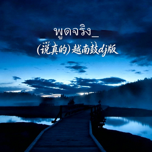 พูดจริง（说真的）越南鼓dj版