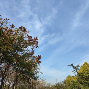 嗯.