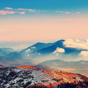 奥斯卡大的啊 (3)