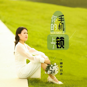 你的手机上了锁