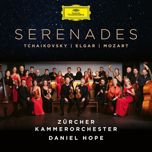 Serenade for String Orchestra, Op. 20:II. Larghetto