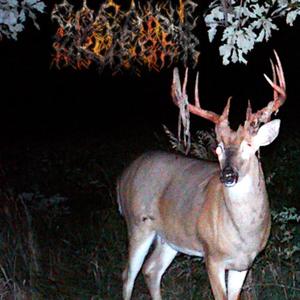 ON DA HOUSE (feat. mxstvh)