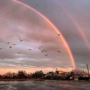 虚拟人设（翻自 EN）