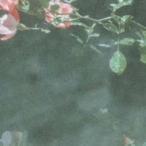 SPITAL (feat. HTM Mar)