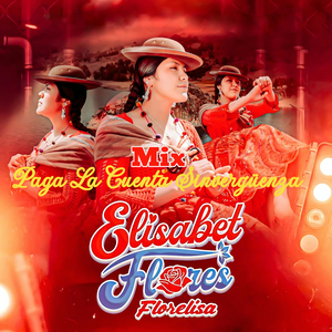 Mix Paga La Cuenta Sinvergüenza