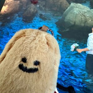 天气预报里的重逢季风