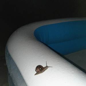 -.-- --- ..- .-. -- --- --