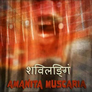 Amanita Muscaria
