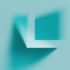 【已买断】Bird beat