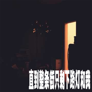 直到整条街只剩下路灯和我