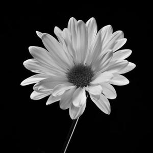 To R.... (Special Version)