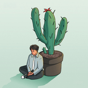 선인장 (Cactus)
