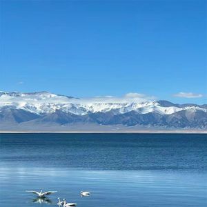 你是初次的心动