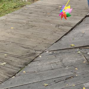 哪个不想去成功