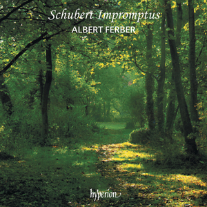4 Impromptus, Op. 90, D. 899: No. 1 in C Minor. Allegro molto moderato