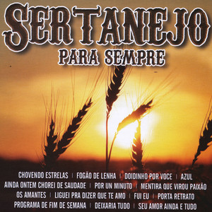 Liguei pra dizer que te amo (Cover Version)