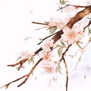 送情郎（口琴&二胡）