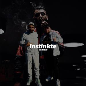 Instinkte