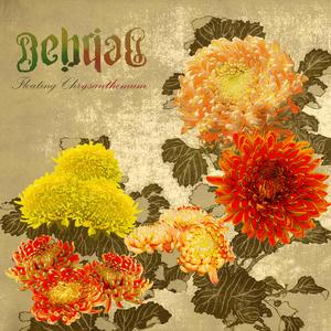 Floating Chrysanthemum