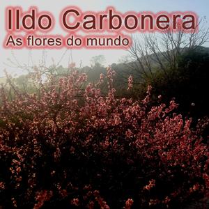 Primordia