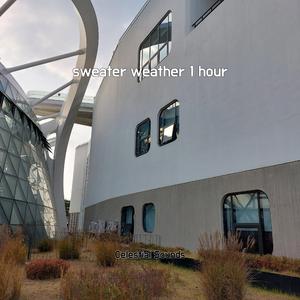 relaxed scene roblox