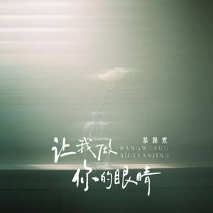 让我做你的眼睛