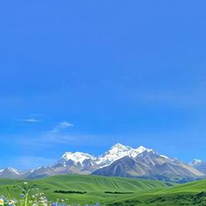 letaju