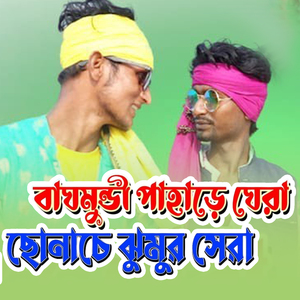 বাঘমুন্ডী পাহাড়ে ঘেরা ছোনাচে ঝুমুর সেরা