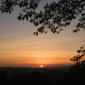 死不了 (Cover 任贤齐)