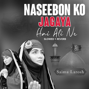 Naseebon Ko Jagaya Hai Ali Ne (Lofi-Mix)
