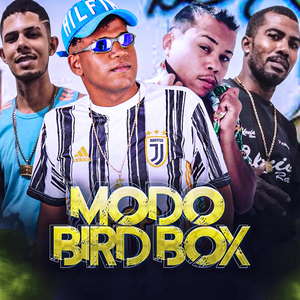 Modo Bird Box