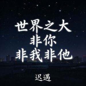 世界之大非你非我非他