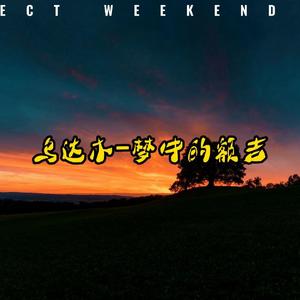 乌达木-梦中的额吉（FlowerDog Bootleg)