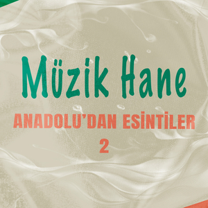 Ordu'nun Dereleri (Enstrümantal)