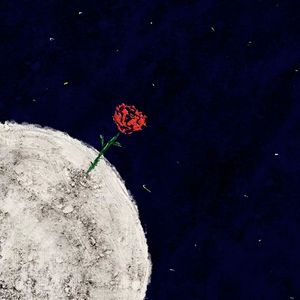 玫瑰（要不要买菜版）