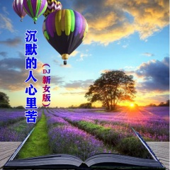 沉默的人心里苦DJ