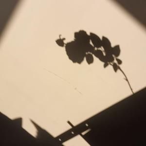 第二个粗糙的demo