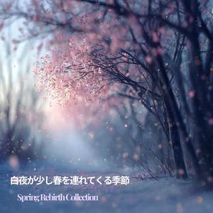 白銀の記憶と桜の未来 – Sakura Story