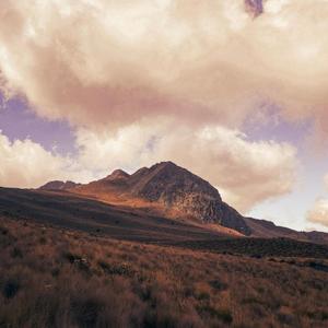 Autumn (turns everything to gold)