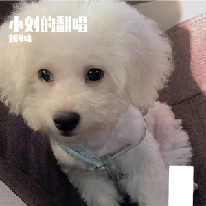 PO8-Chillin‘（刘海啸 remix）