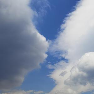 《可原来他们本来也没想永远》词曲唱赵鑫