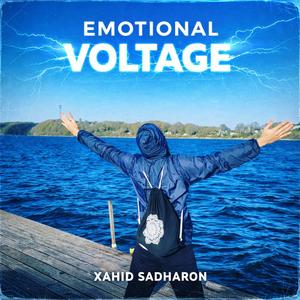 ELECTRO BLUES LANDING